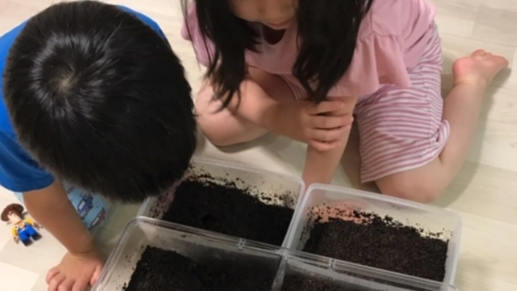 コロナに負けない児童養護施設の子供達へカブトムシを贈りたい！