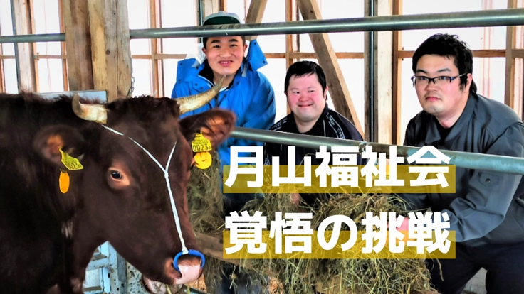 荒れた放牧地を再生。短角牛飼育事業で障がい者の「1人立ち」へ