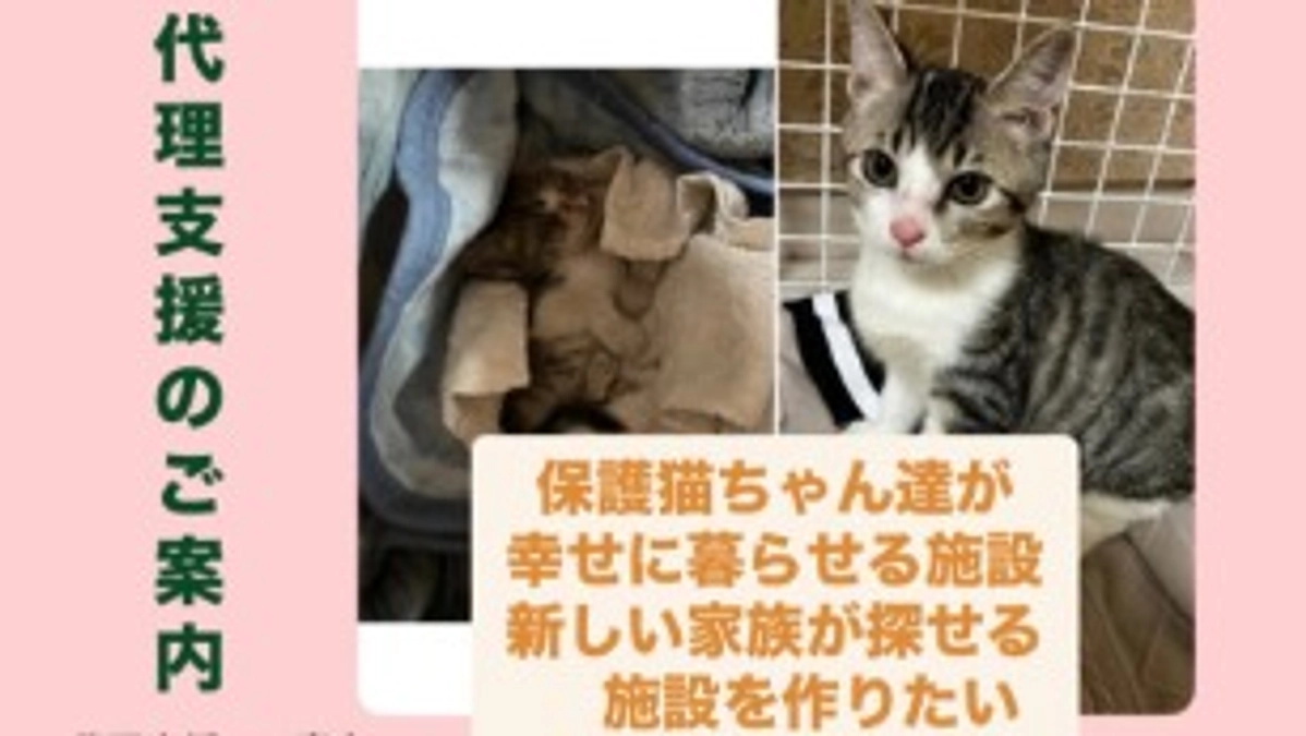 代理支援のお願い