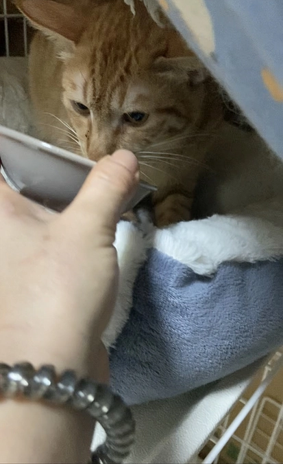 開始24時間で達成させて頂きました🙇‍♀️