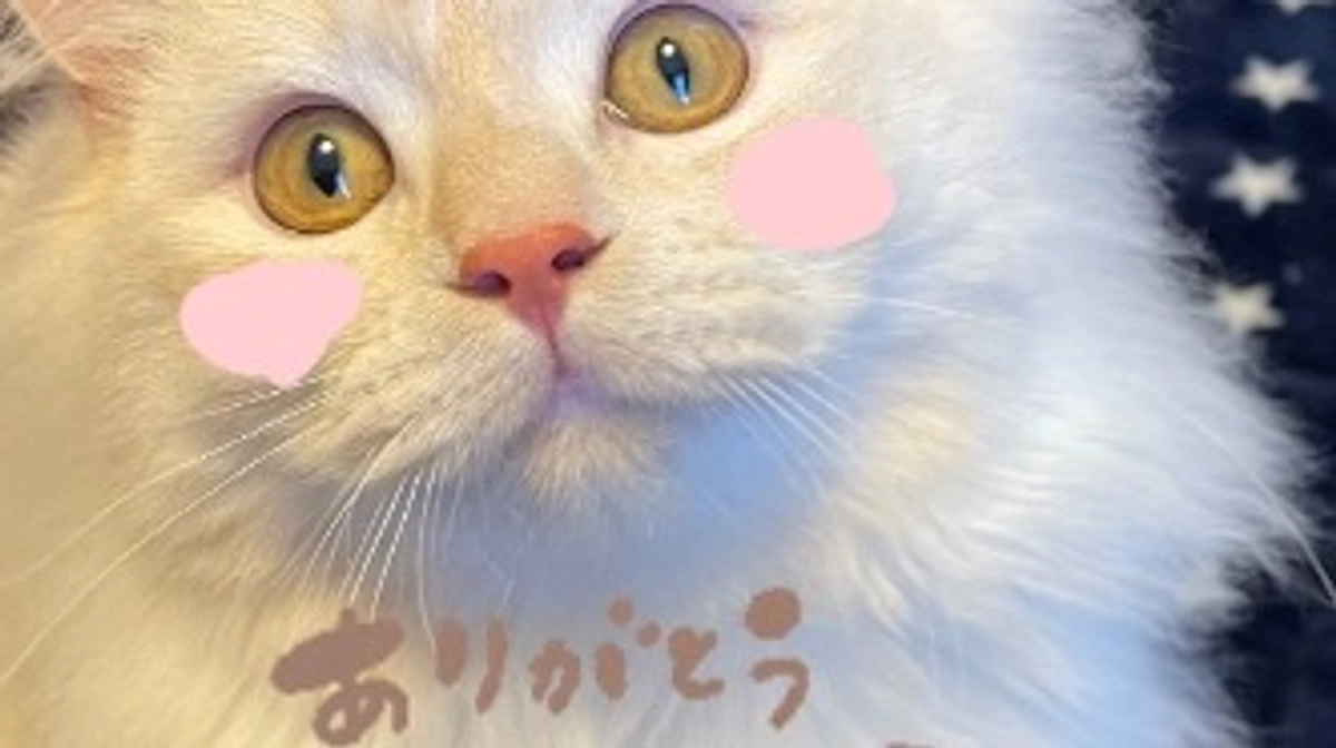 ご支援をいただきました！