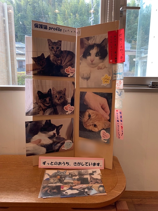 ニャンとステキな愛猫写真展【洲本市立五色図書館】