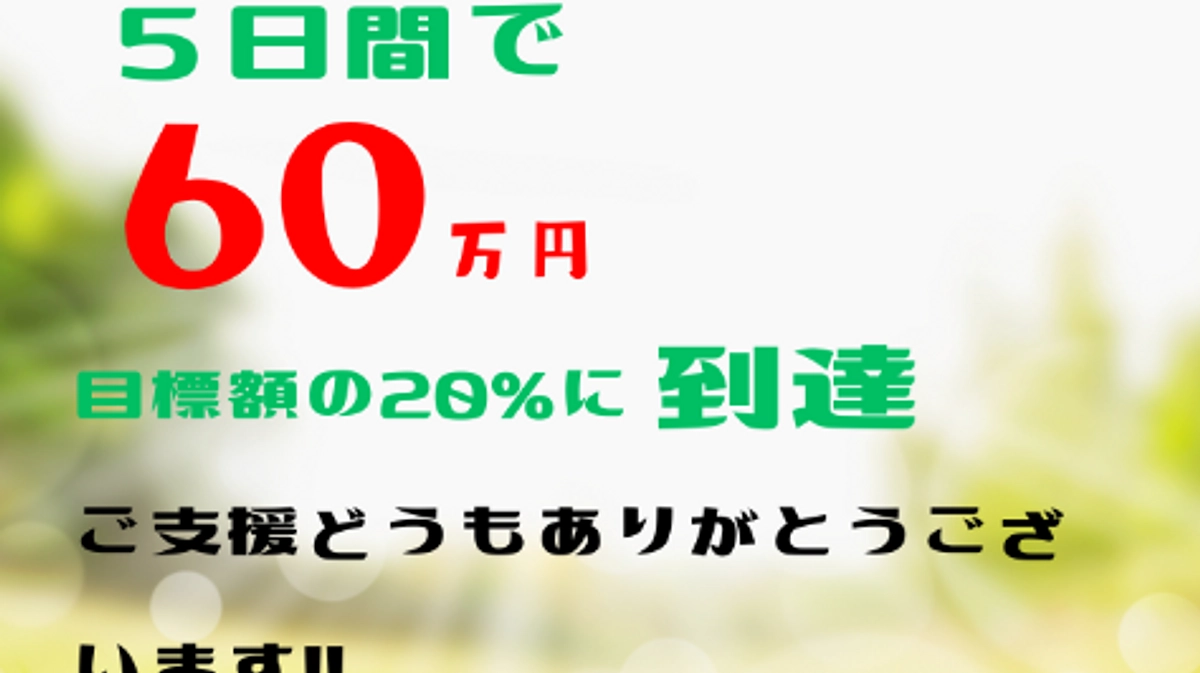第6弾プロジェクト【60万円突破！】あわねこ保育園の毎日