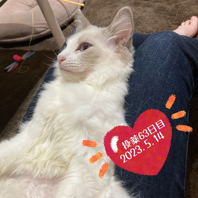 投薬６３日目(2023.5.14)＆ご支援のお知らせ