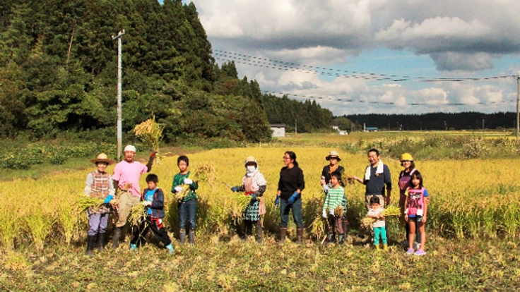 歌のある稲刈りプロジェクト