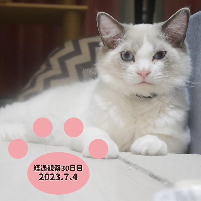 経過観察30日目(2023.7.4)