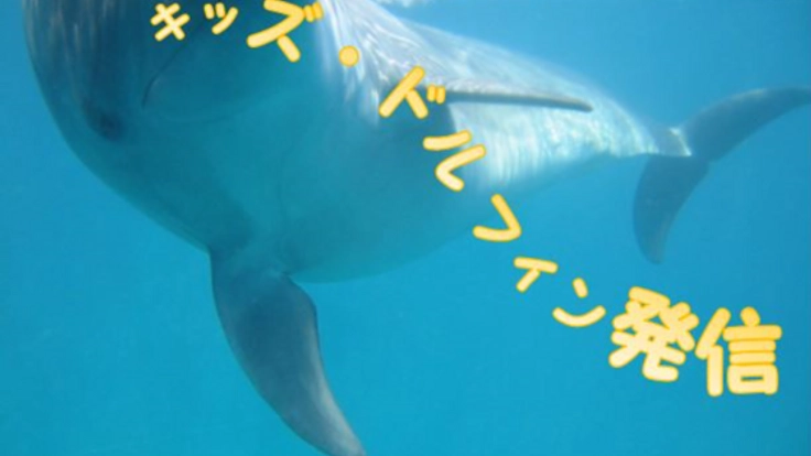 個性あふれる子どもたちへ共に学ぶ環境を届けたい！