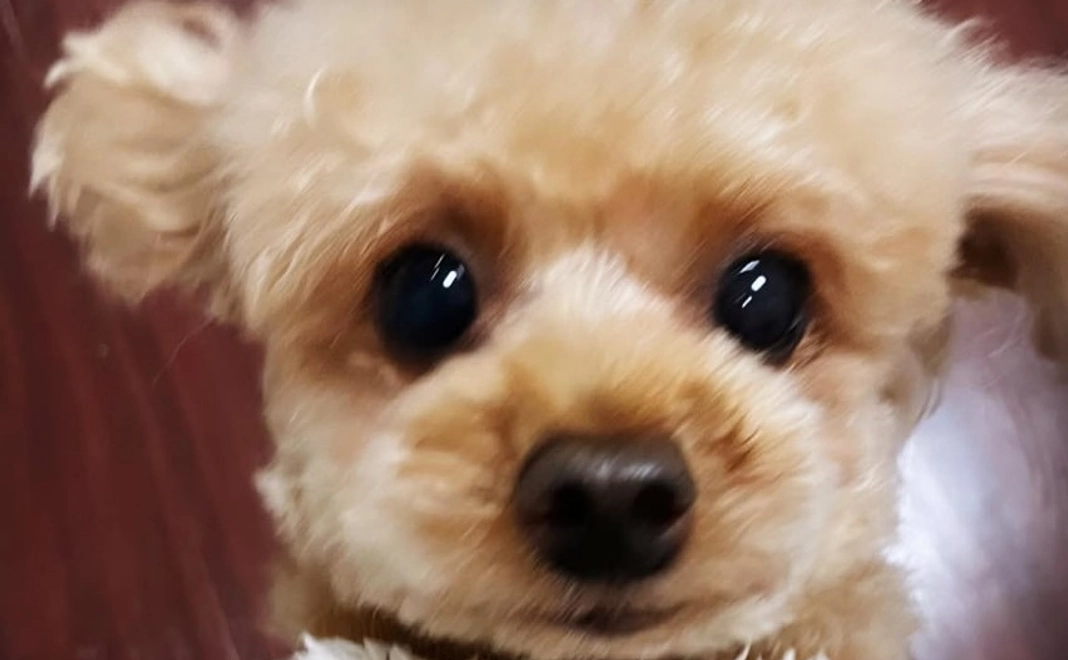 『1,000円①』感謝のメールと経過のご報告