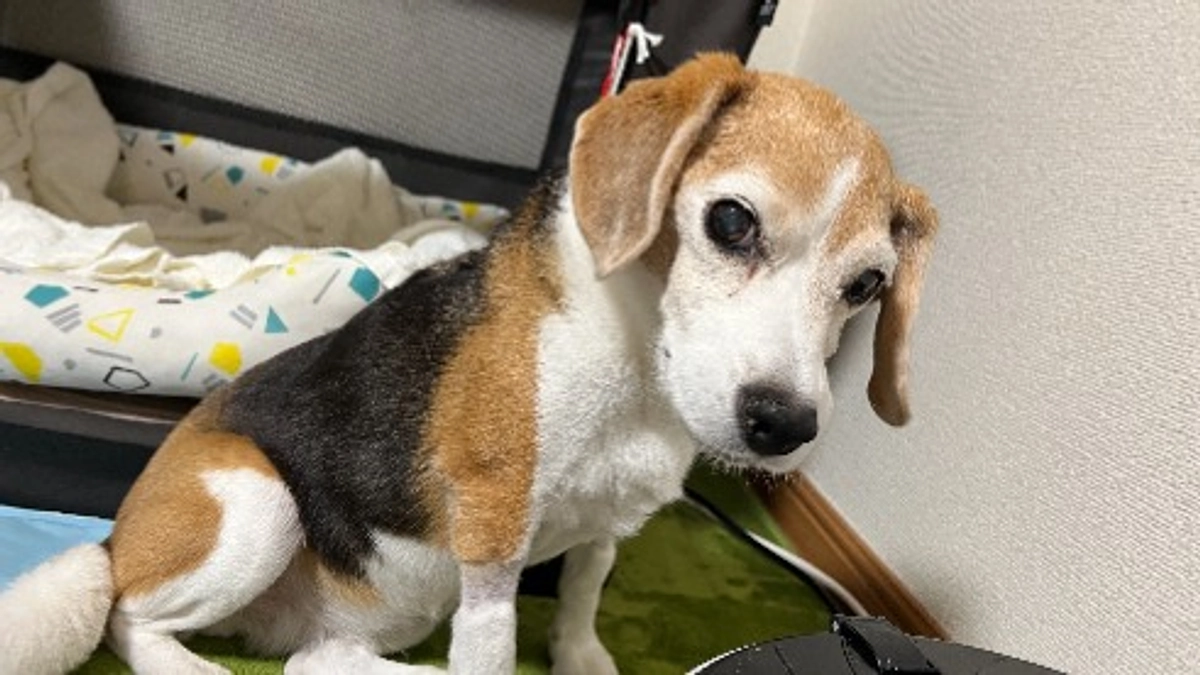 10/2 三歩進んで二歩下がる