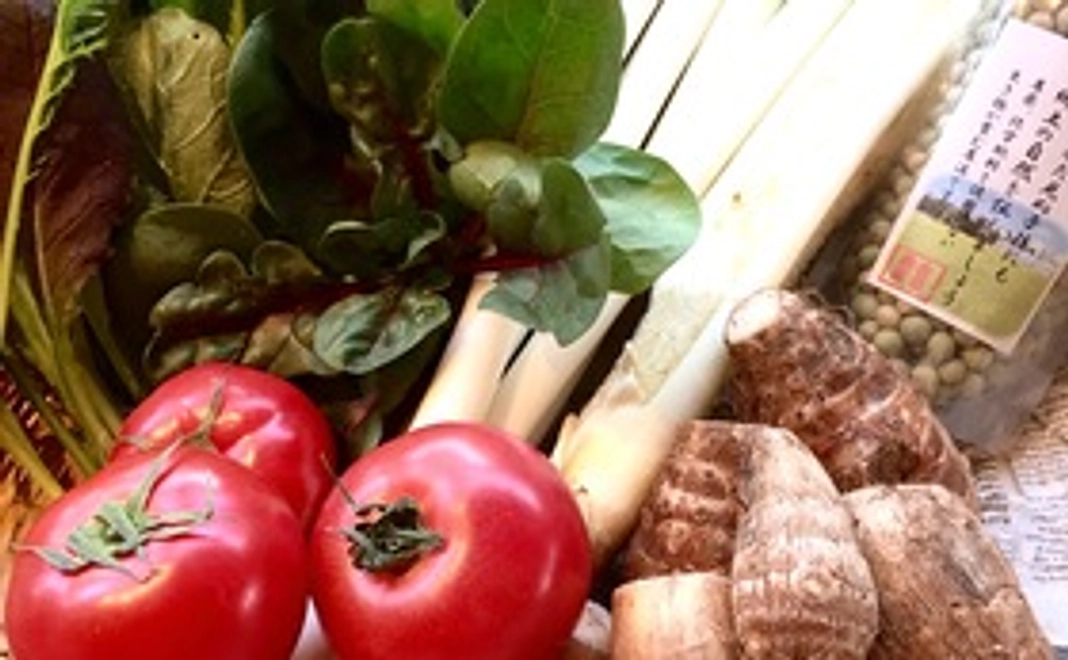 那須高原野菜の詰め合わせセット