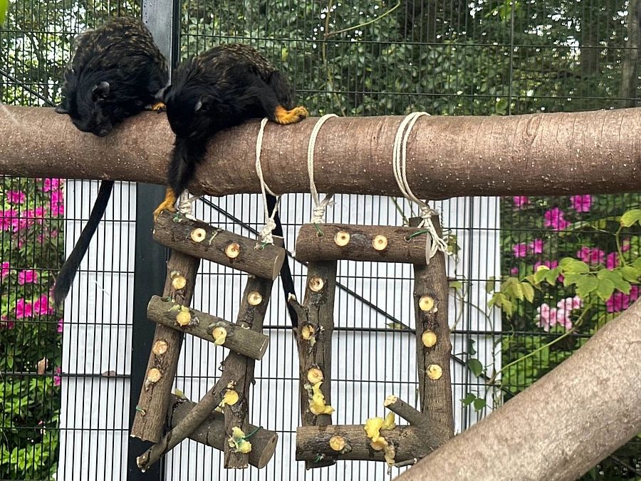 【クラファン活動報告㉖ 】80%達成！