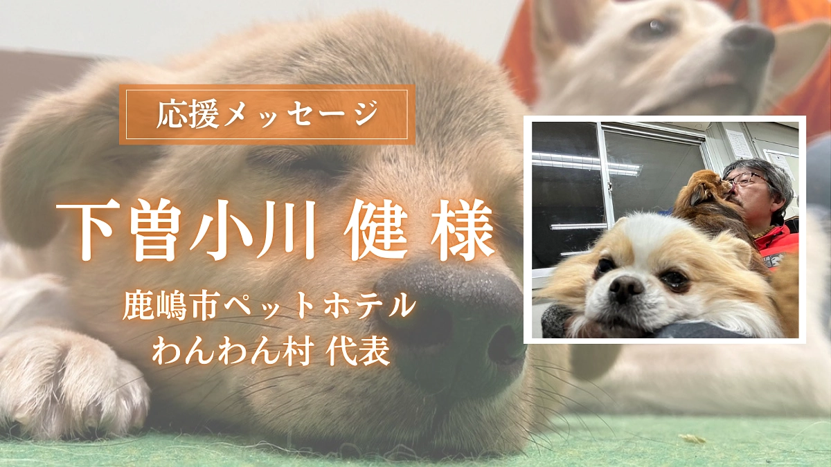 鹿嶋市ペットホテルわんわん村 代表の下曽小川 健様からの応援メッセージのご紹介