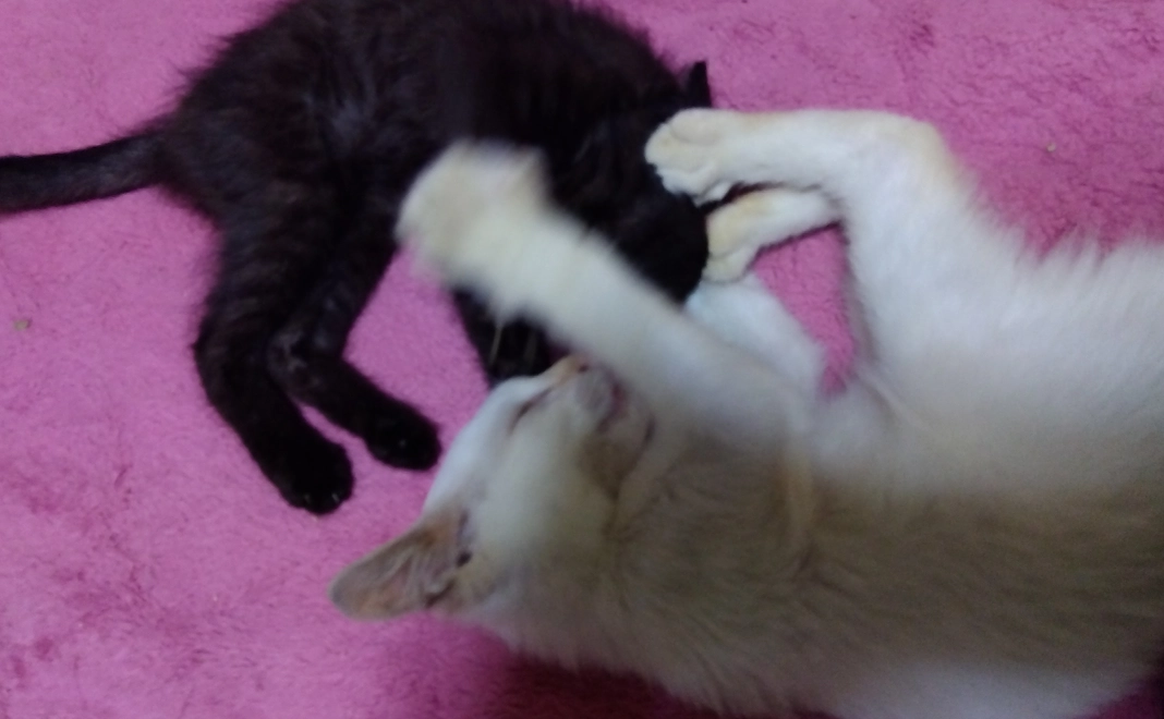 感謝メール(eメール活用)4