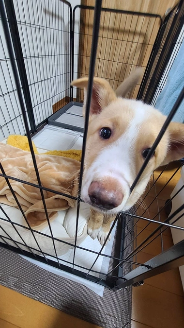 相変わらず～バタバタまあくんハウスです🍀