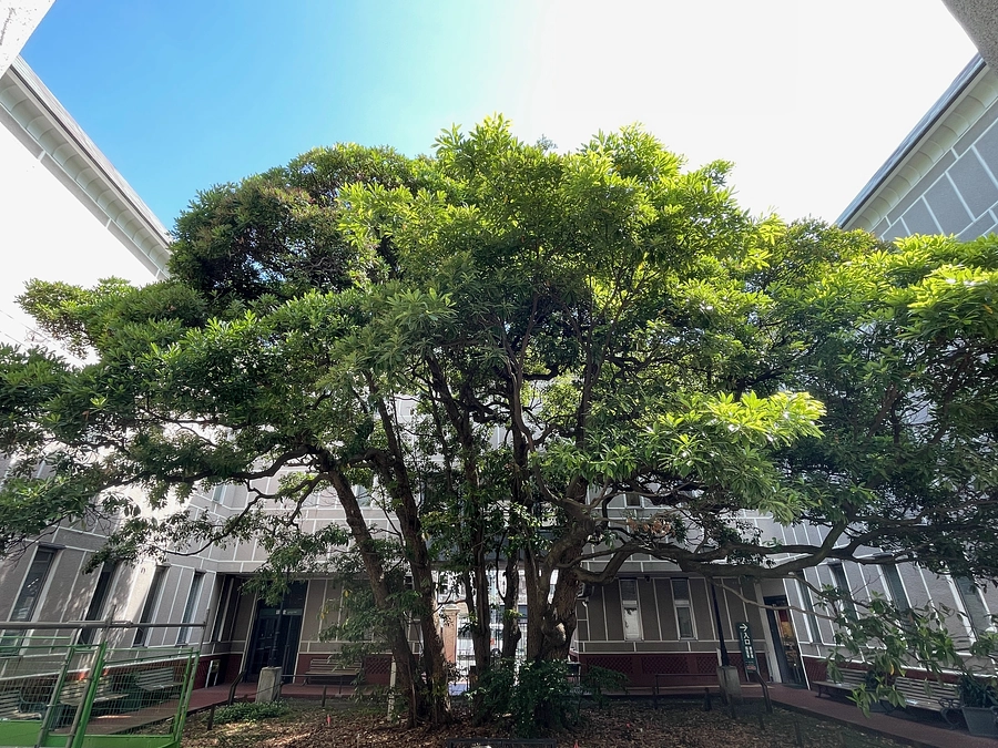 ハマフェスY165・かながわMIRAIストリート出店にてクラウドPR中です