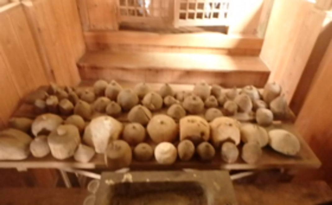 【一緒にご神木を治療しよう!】樹木治療参加時にお弁当提供 & サンクスカード