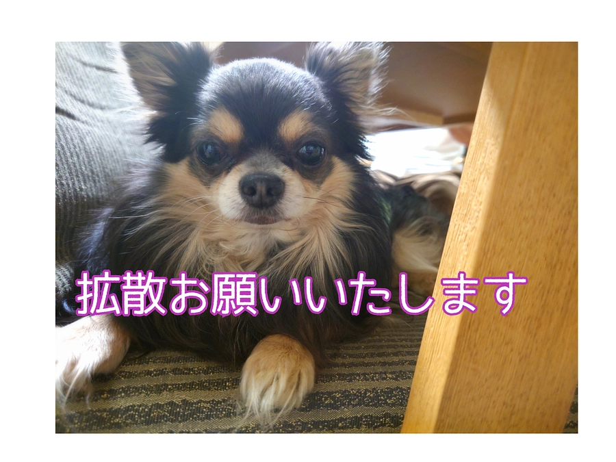 次の精密検査日