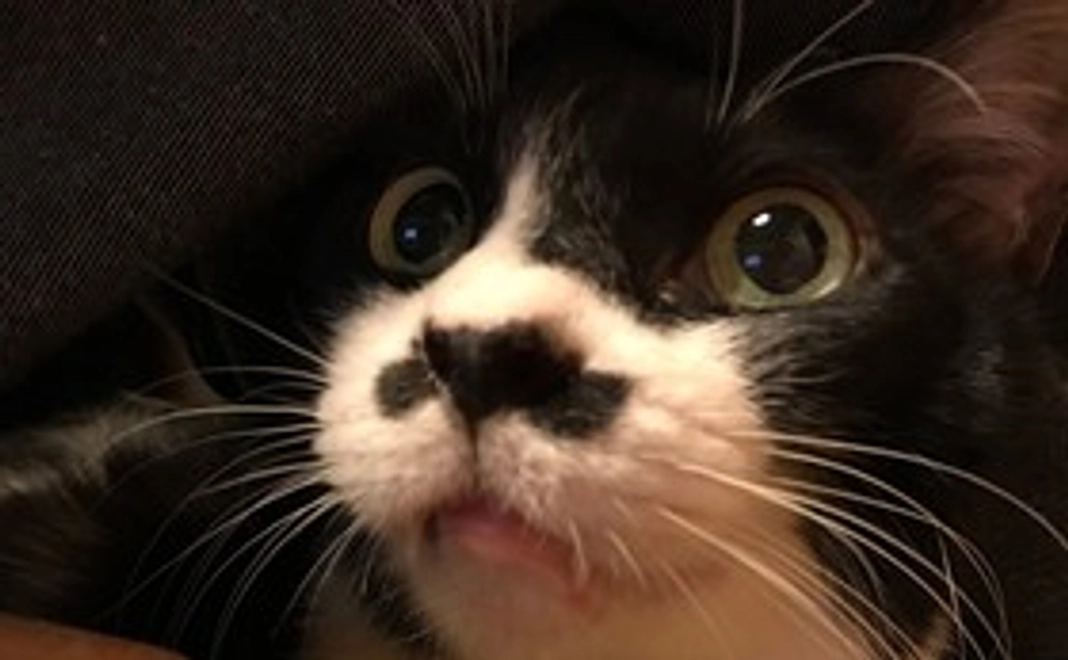 お礼のメッセージ