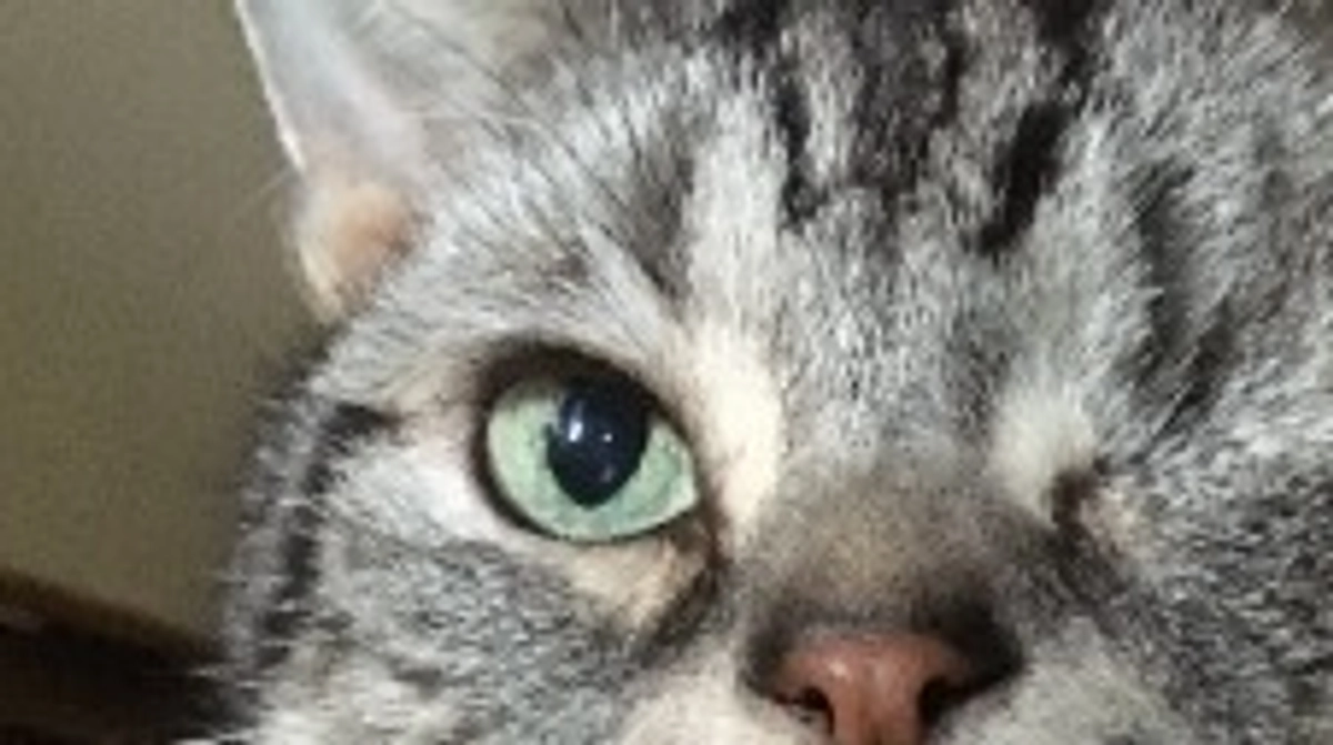 残り14日となりました。