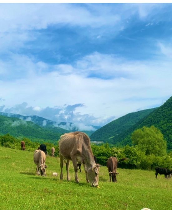 好きなことにリソースをかける大切さ。「片付け」思考で人生を好転させる