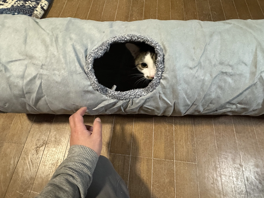 頂いた物資の紹介4