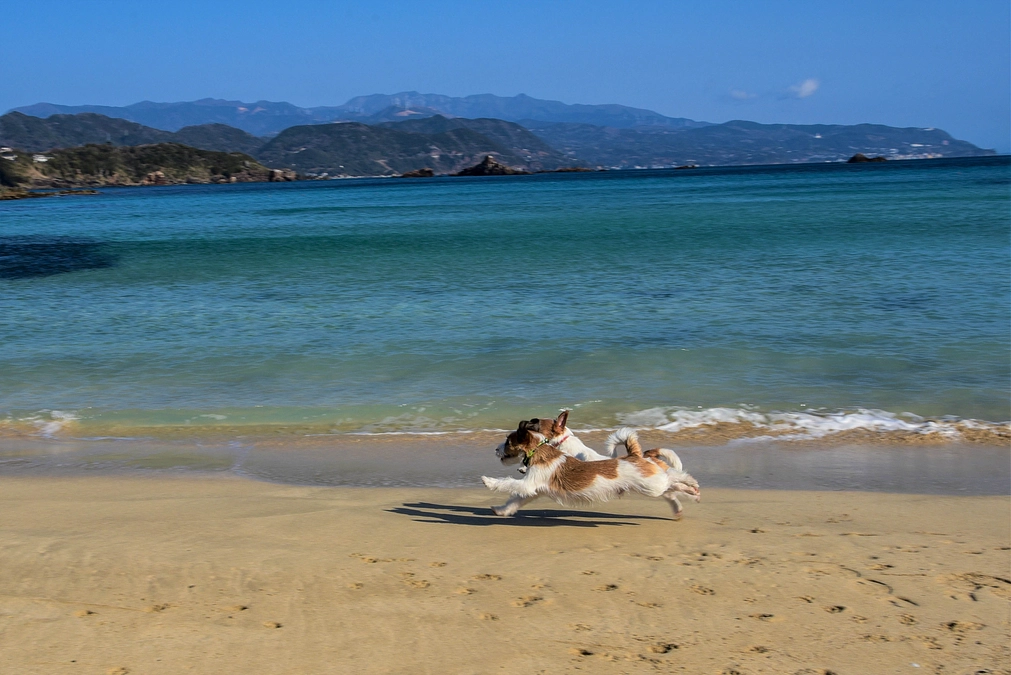 【ワンズ・ラフのストーリー③マリンとの出会い】