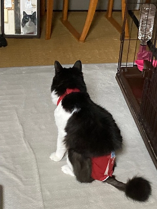 ハチそっくりな似顔絵