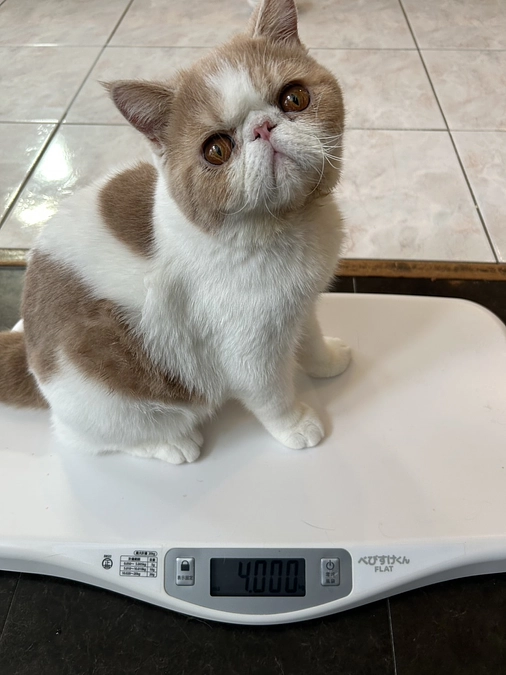 遅くなりましたがリターンの雑貨、郵送しました📮