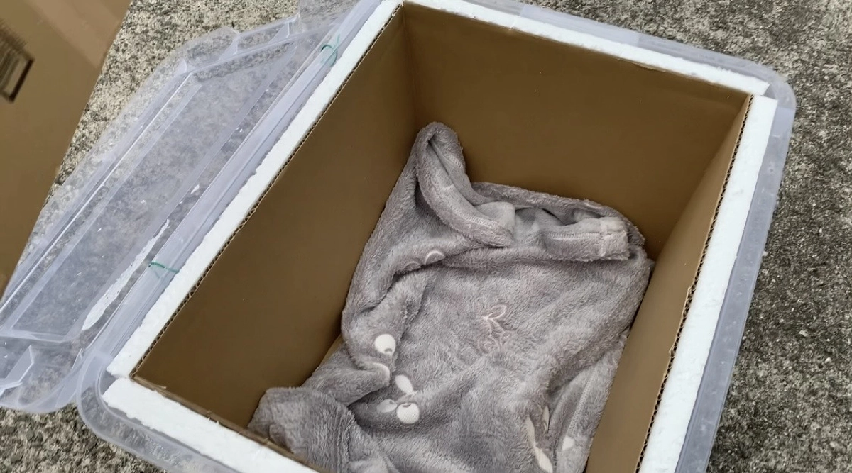 外猫ハウスを追加しました。