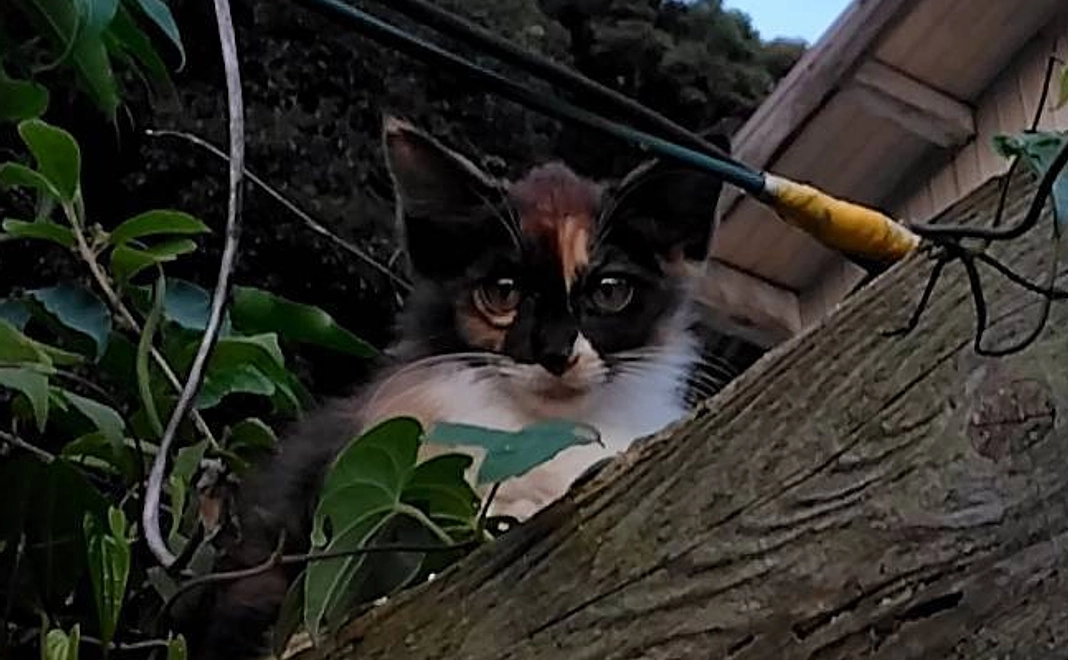 感謝のメール６