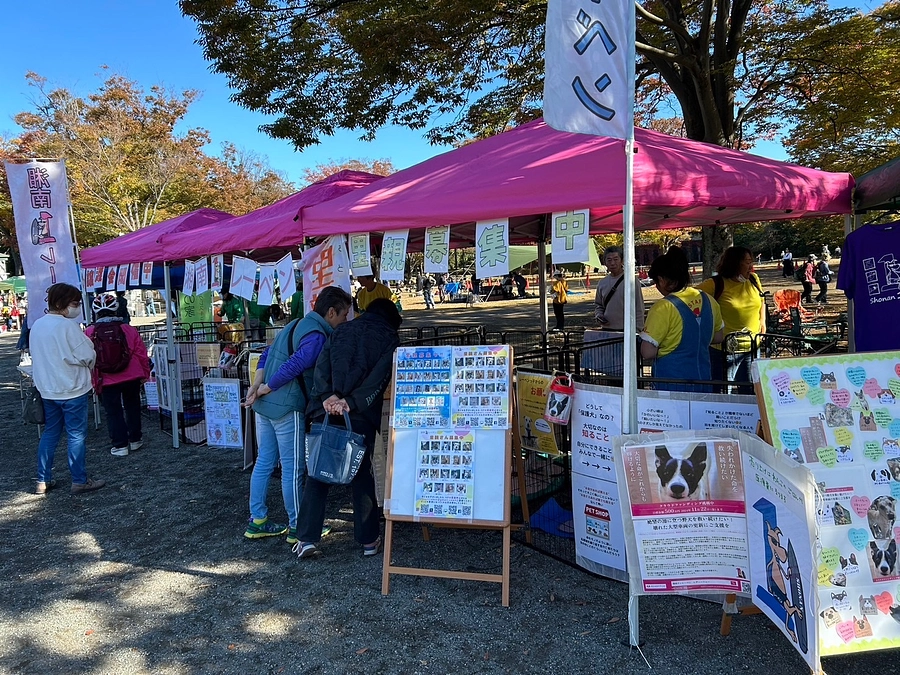 支援者さま600人突破しました！わんにゃんマルシェに参加しました。