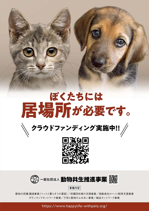 11日目となりました。