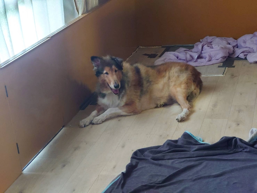 7月分のご寄付、ありがとうございました！