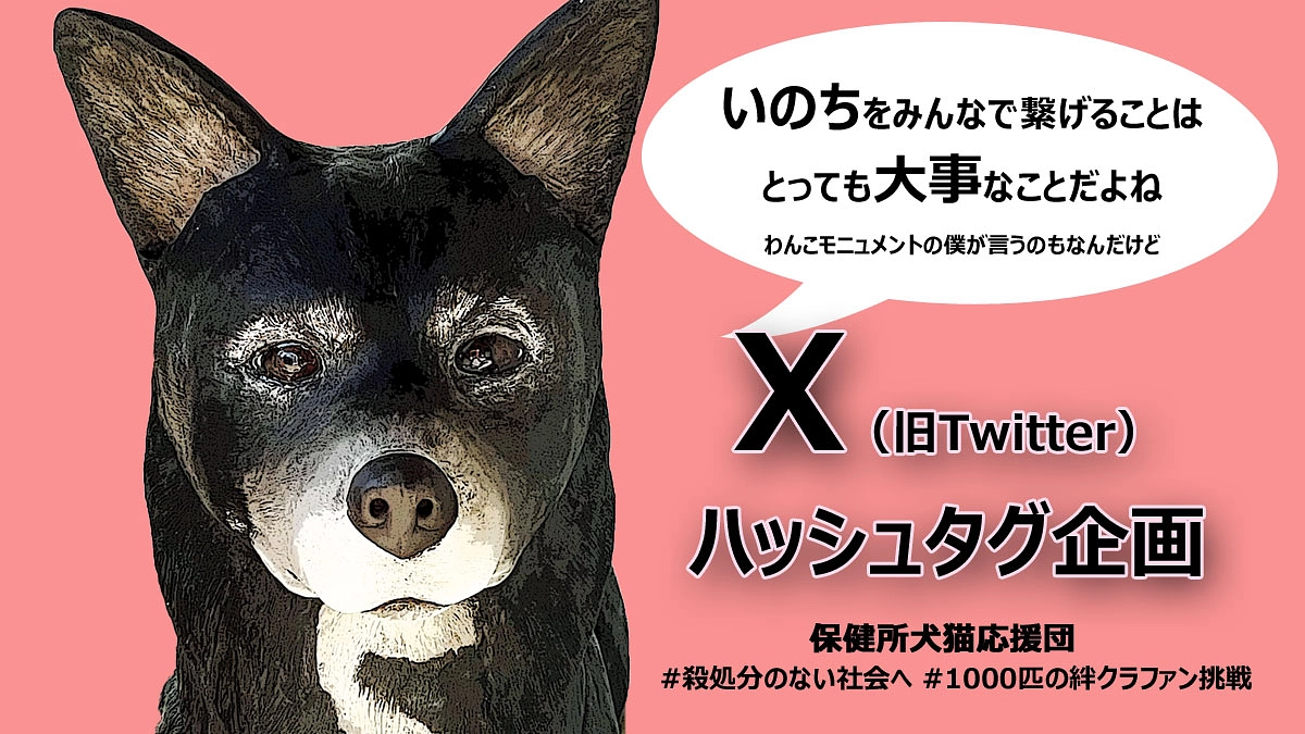 いよいよ、終了まで残り14日となりました！
