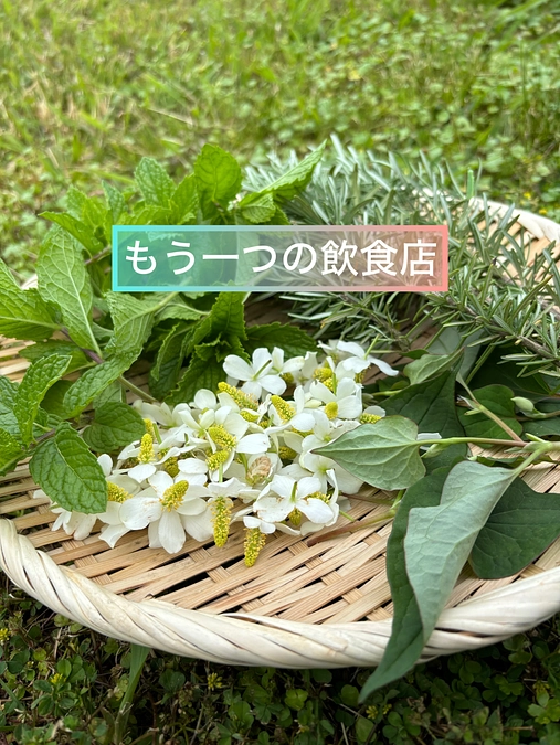 🍋もう一つの飲食店🍋