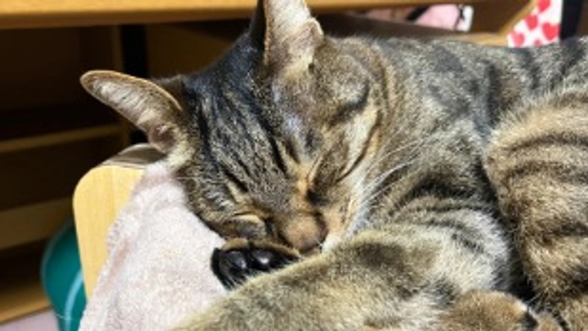 【今日のなっちゃん】5月30日