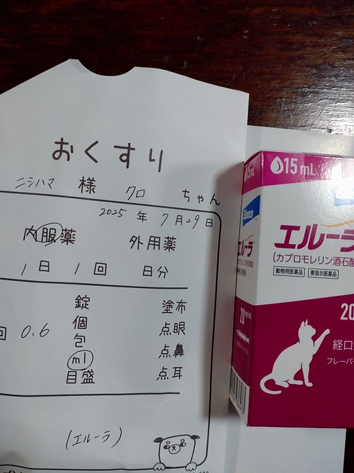 クロ君💕　通院🚙