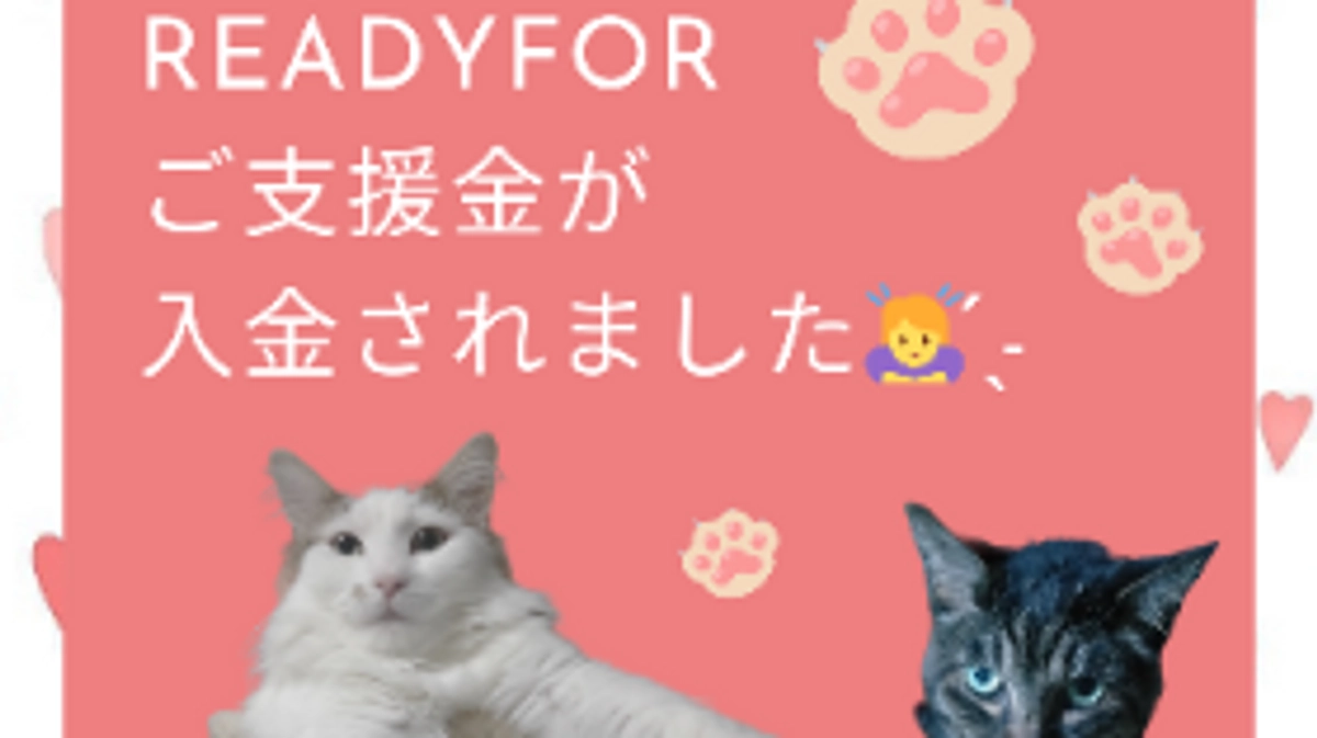 ご支援金が入金されました🙇‍♀️ ̖́-