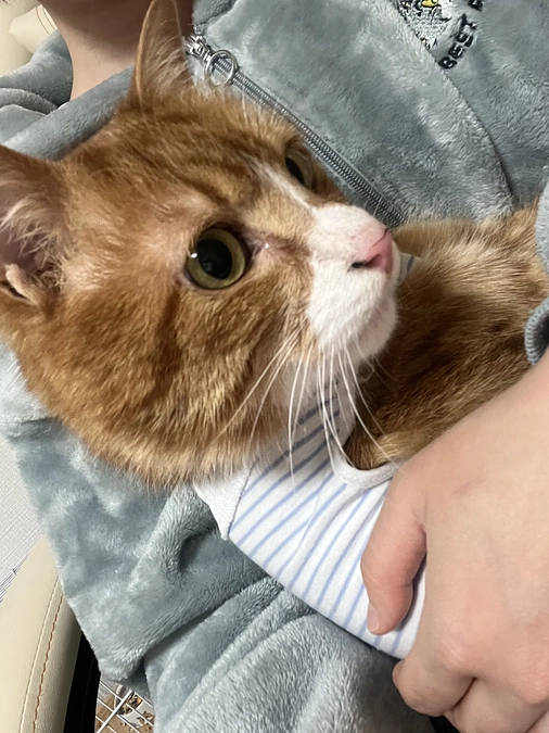 お久しぶりです！がんもは元気です！