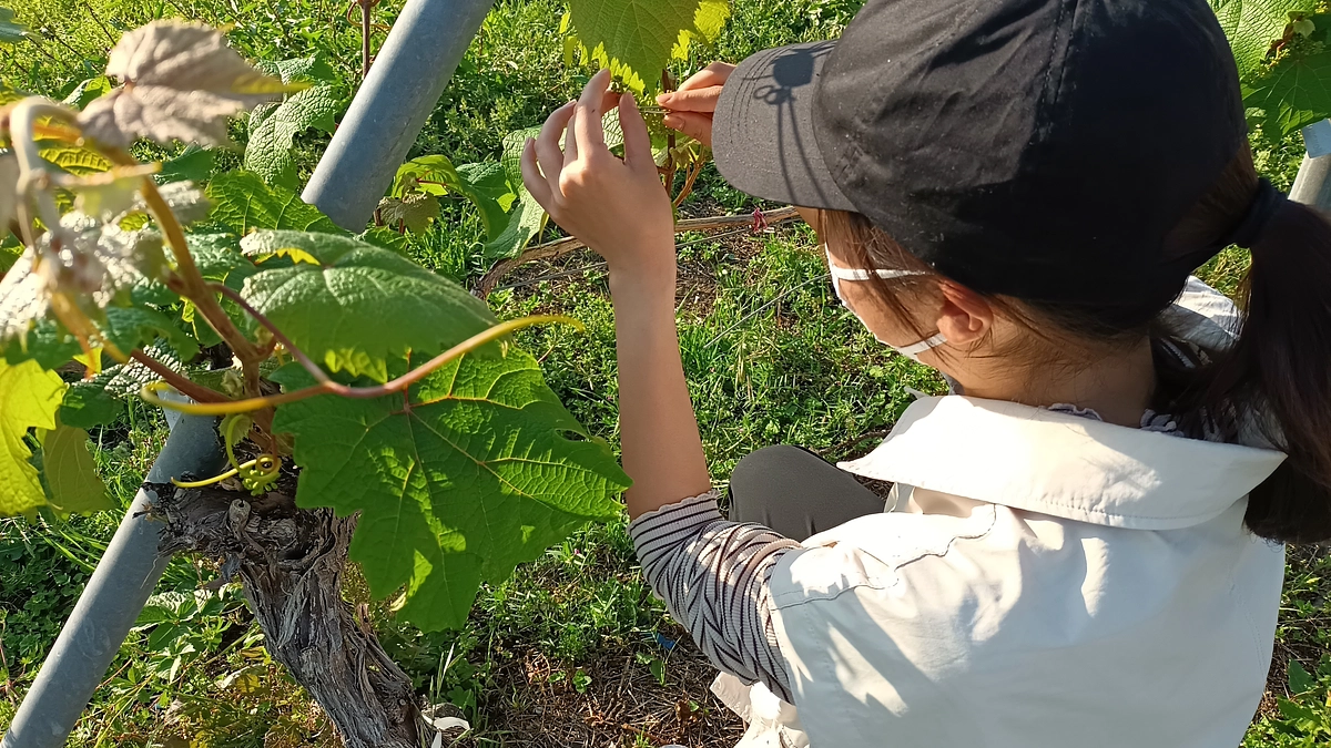 未来を育てる挑戦、始まりました