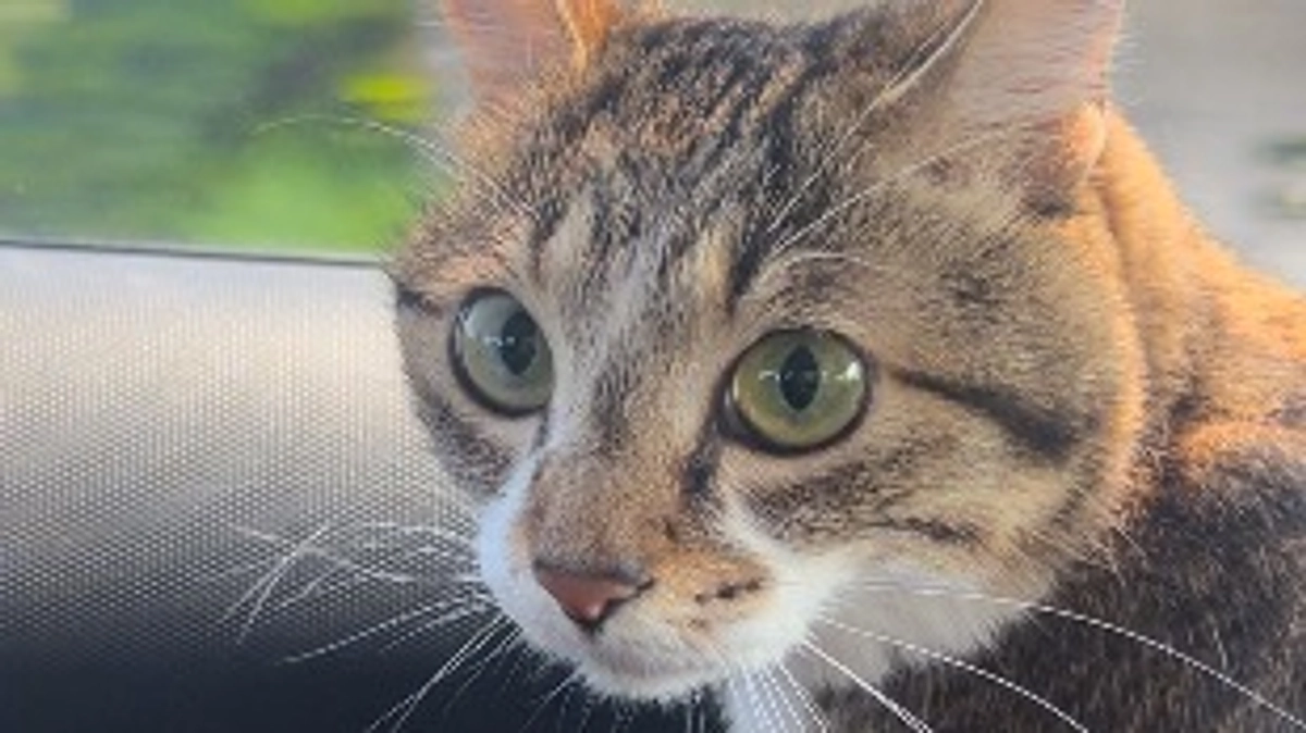 SUBシステム洗浄と検査結果。