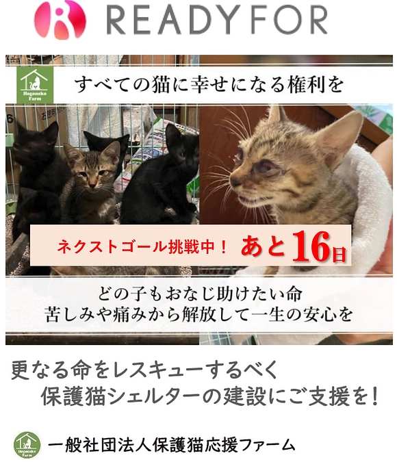 【活動報告】保護猫シェルター建設に伴う応援のお願い（カウントダウン16日！）