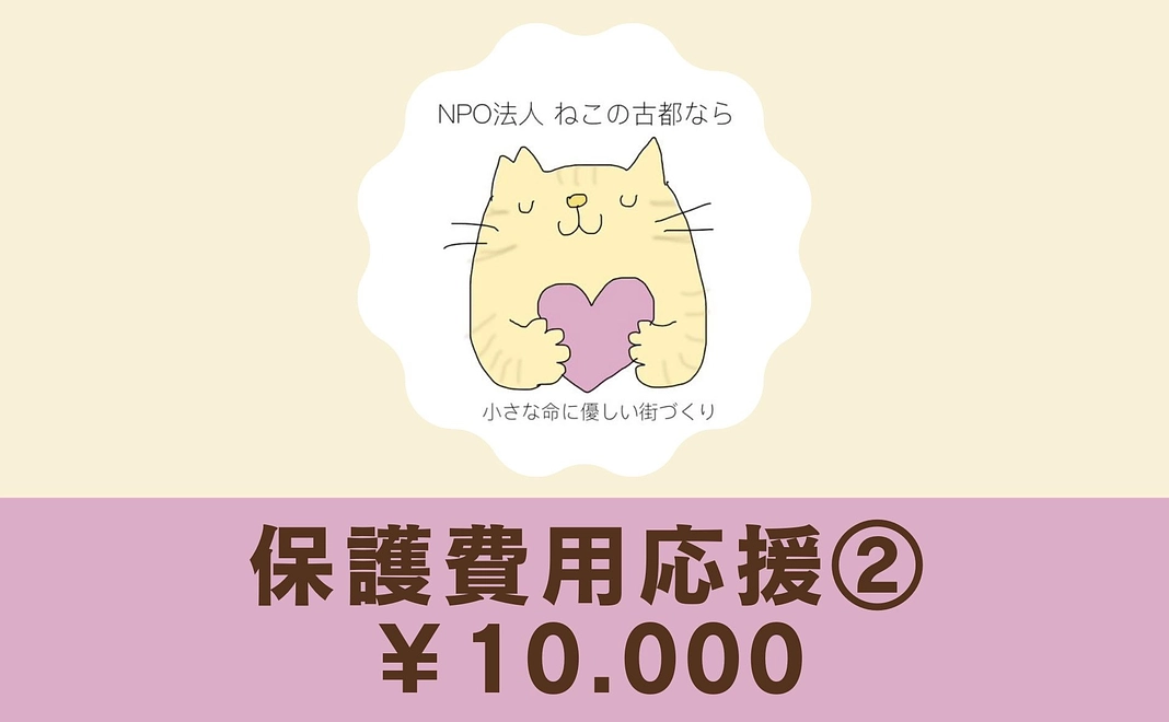 保護費用応援プラン②