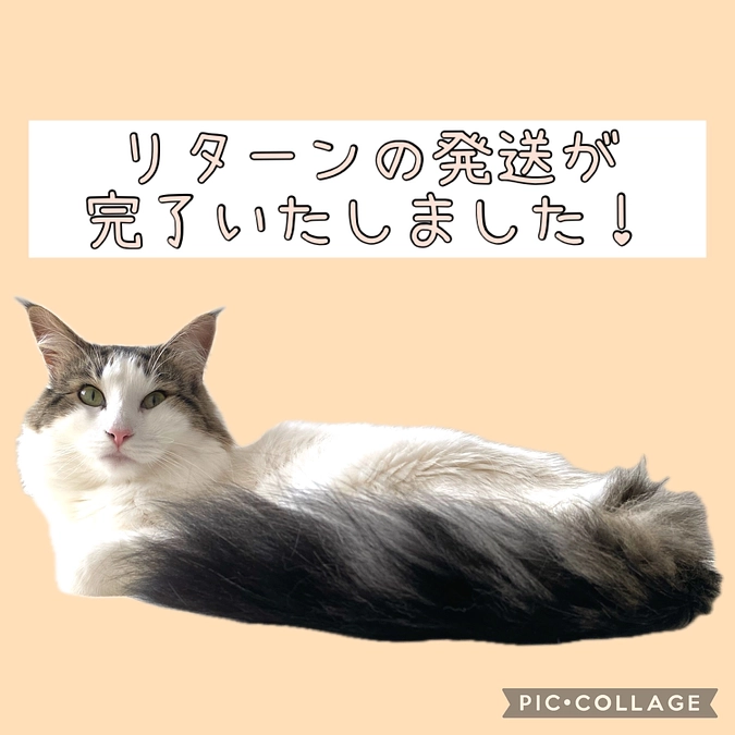 リターン発送のお知らせ