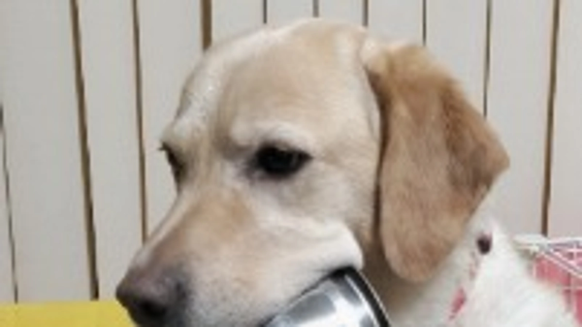 今日もありがとう