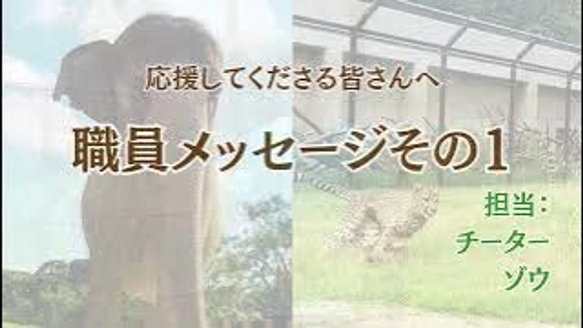 職員メッセージ第一弾〜皆様に届ける思い〜