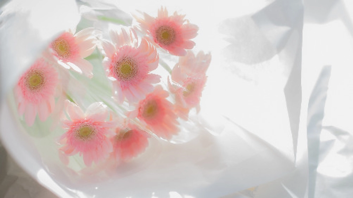 ありがとうの想いをのせて（慰霊の日）