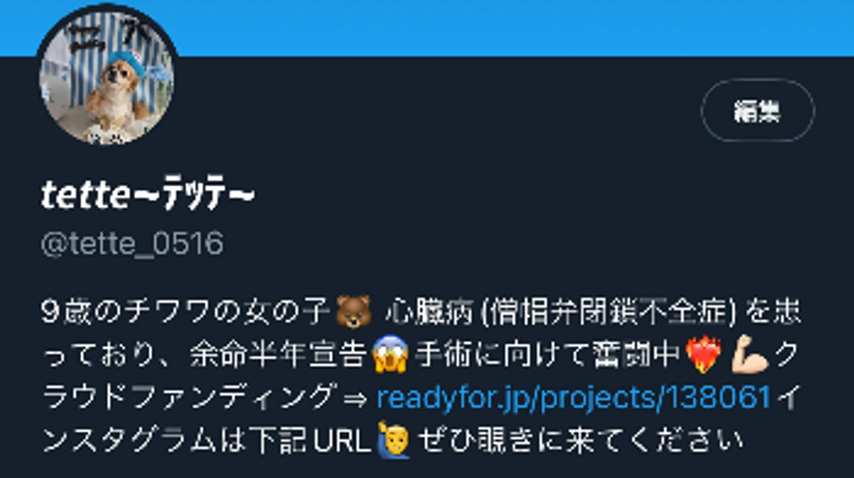 X(旧Twitter)始めました【活動報告3日目】