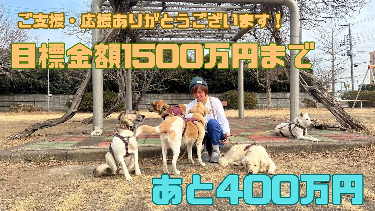 第一目標まで400万円！  皆様からのご支援ありがとうございます！