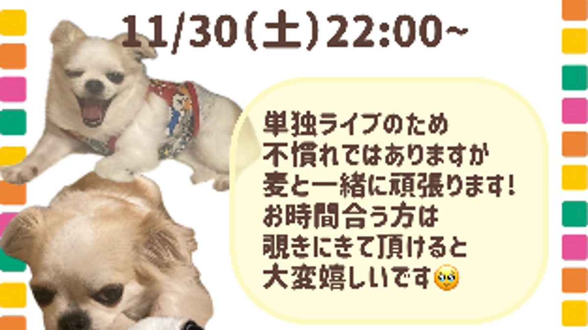 本日インスタライブします🌟